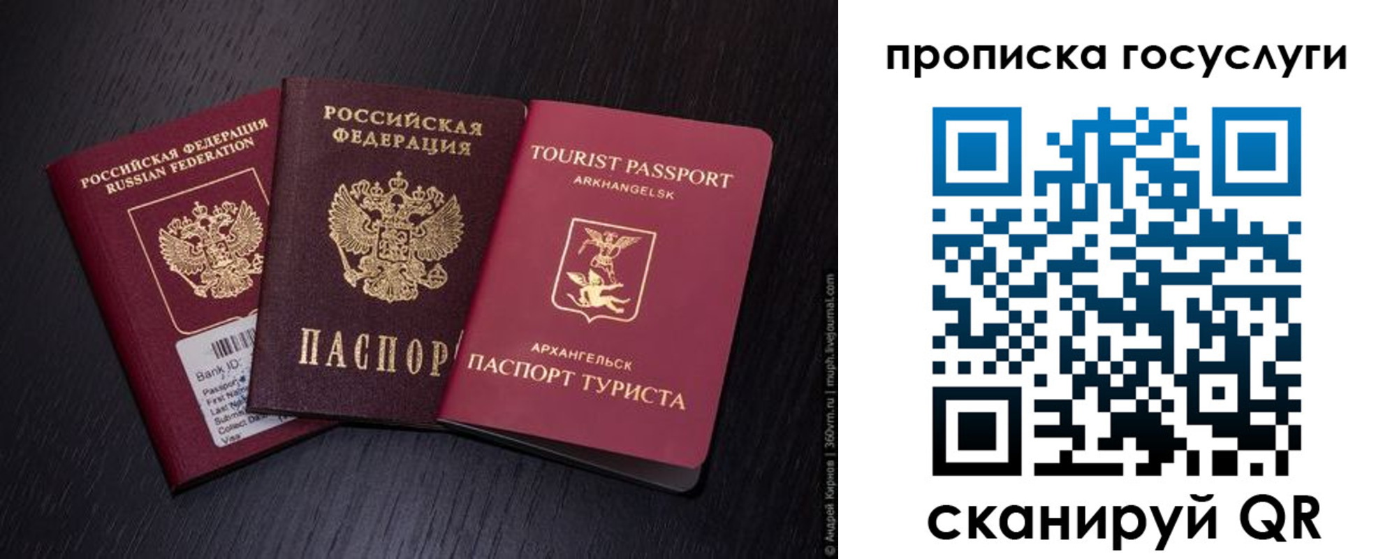 прописка 2025 в Истре